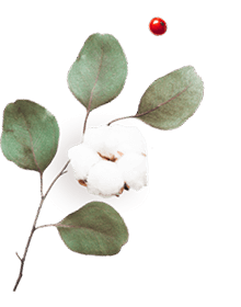 https://moyatasvatba.bg/wp-content/uploads/2020/10/floating_image_06.png