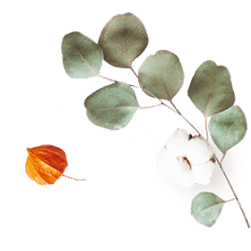 https://moyatasvatba.bg/wp-content/uploads/2020/10/floating_image_07.png