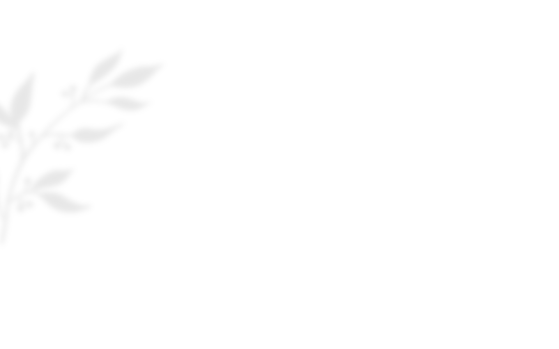 https://moyatasvatba.bg/wp-content/uploads/2020/10/shadow_leaves_03.png