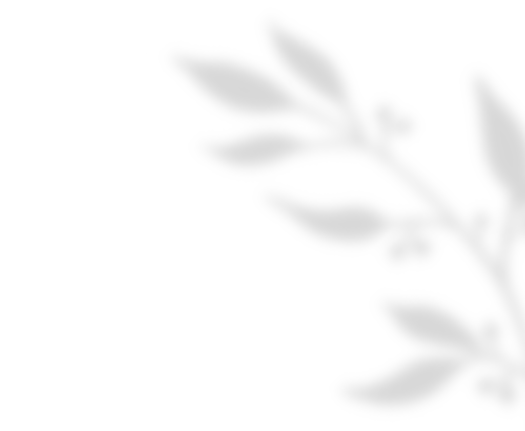 https://moyatasvatba.bg/wp-content/uploads/2020/11/shadow_leaves_01.png
