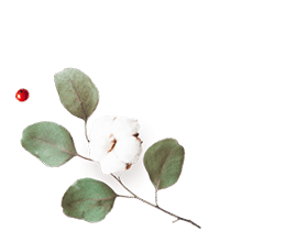 https://moyatasvatba.bg/wp-content/uploads/2020/12/floating_image_flower_01.png