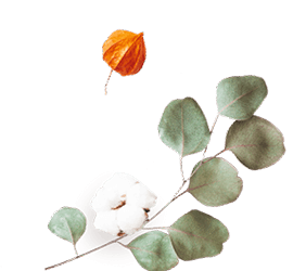 https://moyatasvatba.bg/wp-content/uploads/2020/12/floating_image_flower_02.png