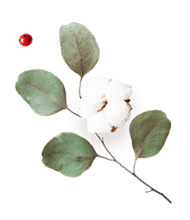 https://moyatasvatba.bg/wp-content/uploads/2020/12/floating_image_flower_03.png