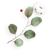 https://moyatasvatba.bg/wp-content/uploads/2020/12/floating_image_flower_04.png